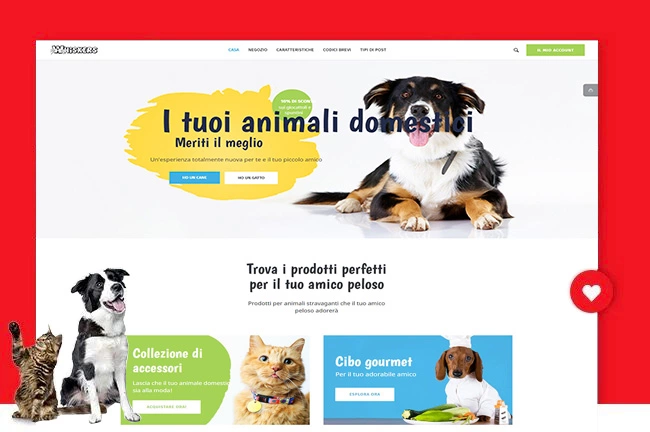 Creazione di Siti Web - Portfolio